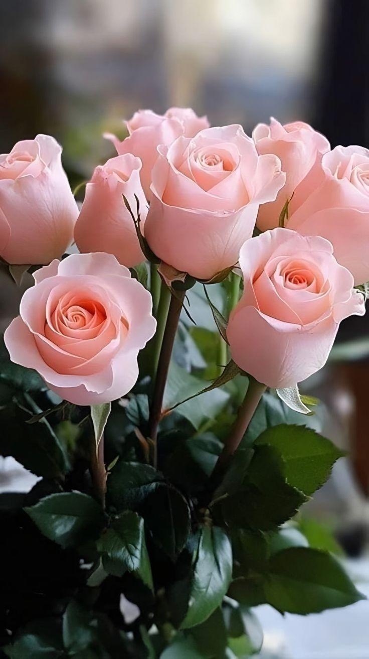Eternal Elegance White Blooms Assortment
